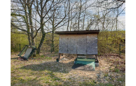 Rénovation terrain extérieur